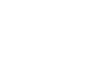 Evolution games at Play Line Casino